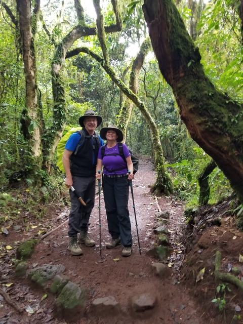 A couple hiking through a lush forest trail.