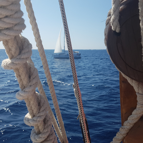       Sailboat on the sea framed by rigging.
  