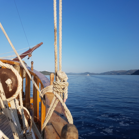       Boat sailing on open sea with horizon.
  