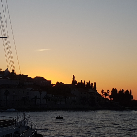       Silhouette of trees and buildings at sunset.
  