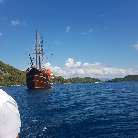       Majestic ship on blue waters with scenic background.
  