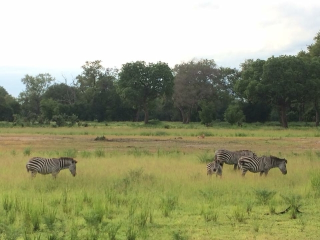 foto de reseña de cliente de De las cataratas de Vic a Zanzíbar (from Cataratas Victoria to Zanzíbar) 