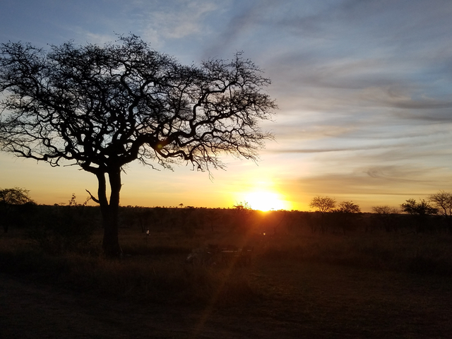Beautiful sunset with silhouette trees.
