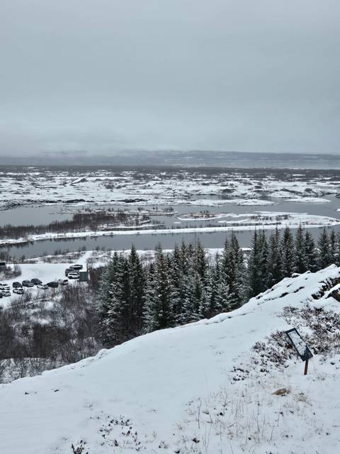 Snow-covered landscape with trees and a river.