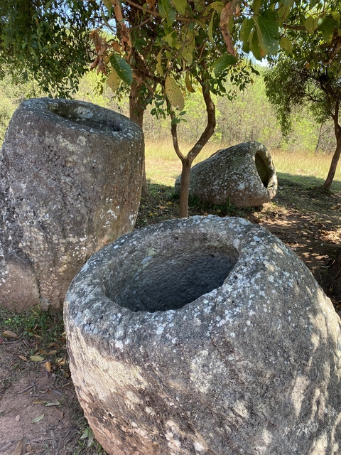       Stone jars on the ground surrounded by grass and trees.
  