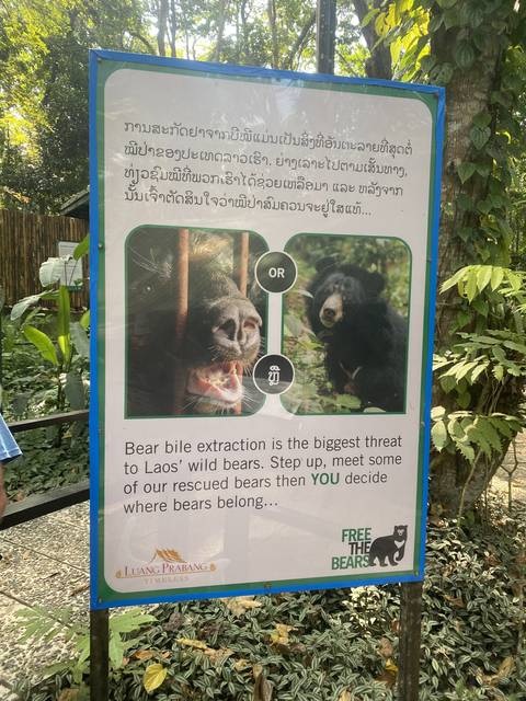       Poster about the protection of bears with images of bears.
  