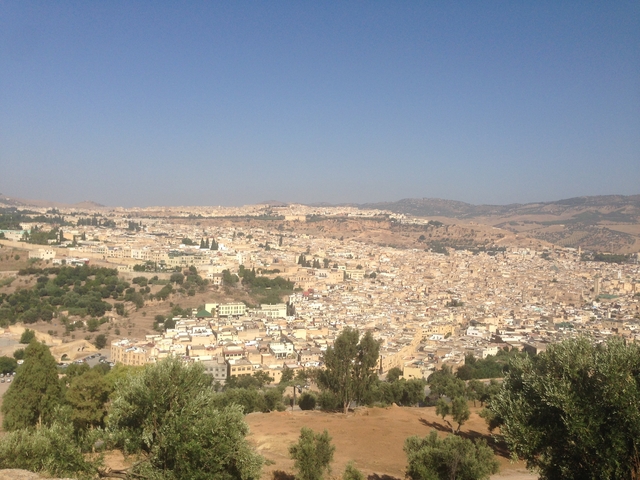 Panoramic view of a cityscape with a dense network of buildings.