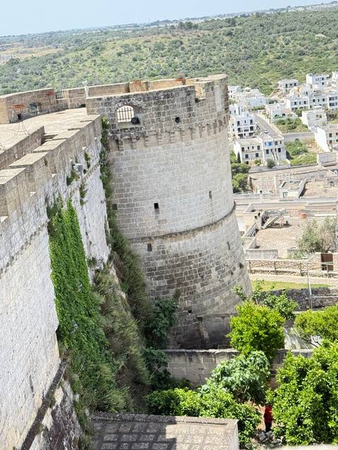       Old stone tower with greenery around it.
  