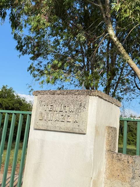       Stone plaque with engraved text surrounded by greenery.
  