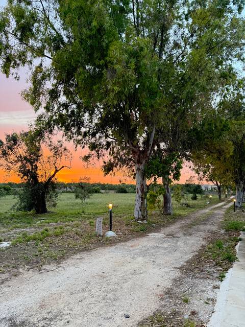       Path leading into a scenic area during sunset.
  