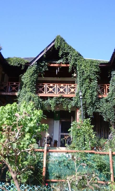 Building covered in lush plants.