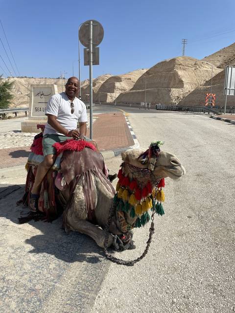 A person sitting on a decorated camel on a sunny day in a desert or roadside area.