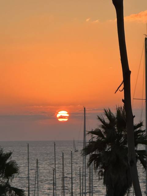 Beautiful sunset over the ocean, silhouetting palm trees.