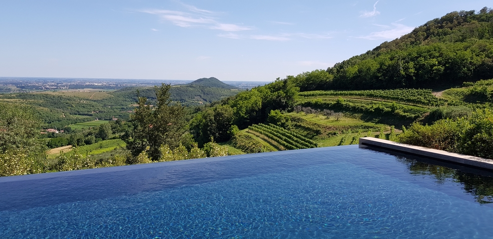 An infinity pool overlooking lush green hills and vineyards.