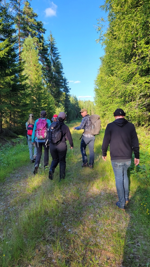 A group of people hiking along a forest trail.