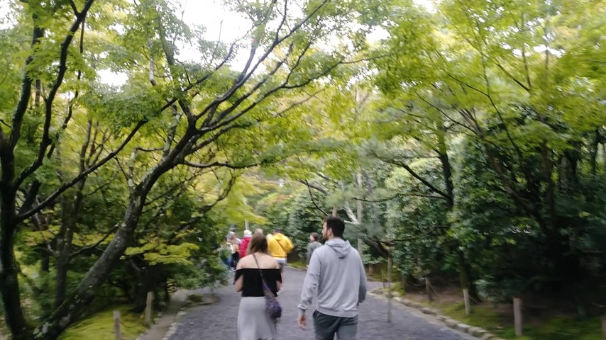       People walking on a path surrounded by green trees.
  