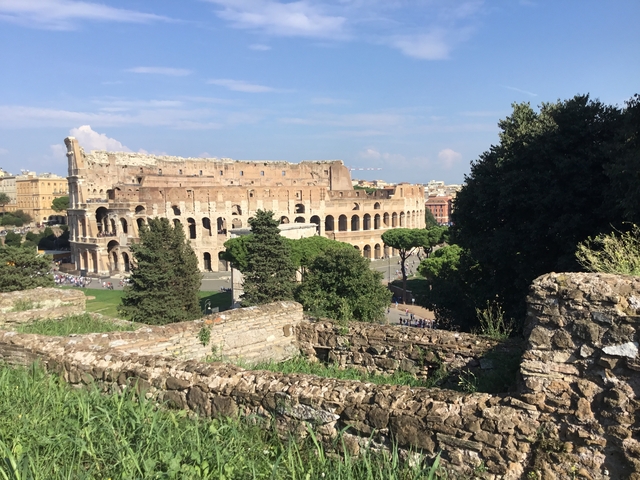 Famous Roman Colosseum with lush greenery in the foreground.