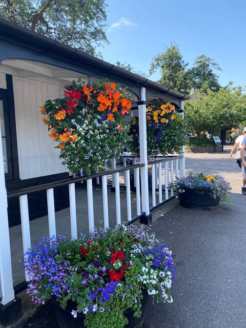 Colorful hanging floral baskets outside a building.
