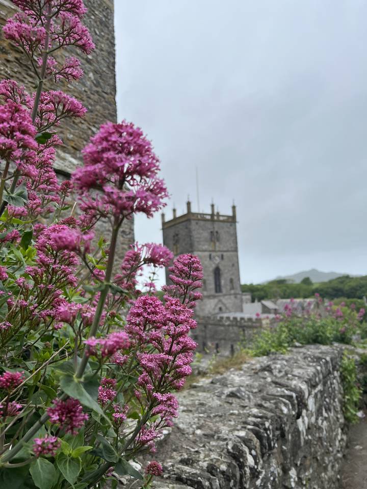 Flowers in front of a historic stone church.