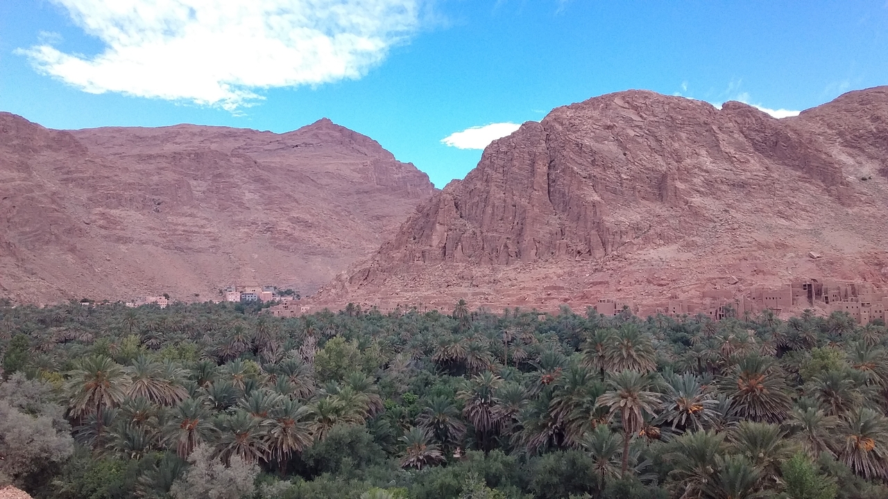Valley with dense greenery and red rocky mountains.