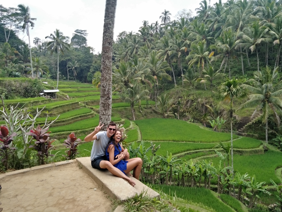 Couple sitting in rice terraces with palm trees in background.