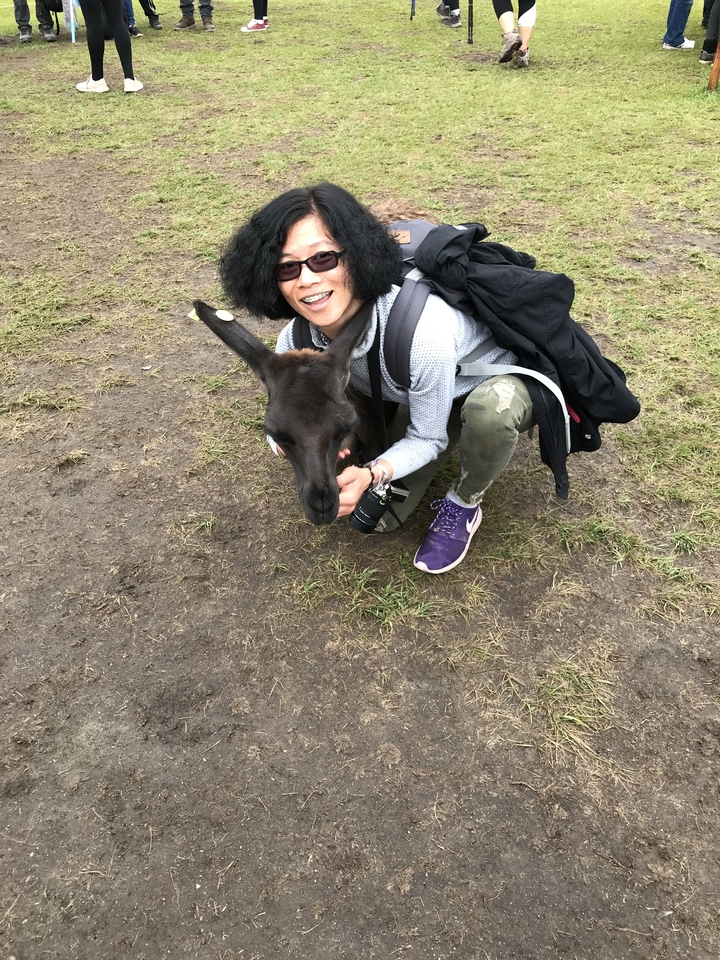 Persona sonriendo con una llama en un área con césped.