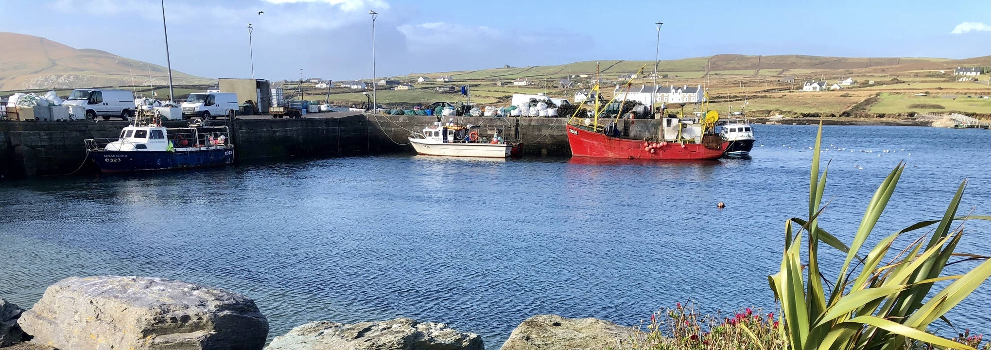 Colorful fishing boats docked at a pier in Ireland.