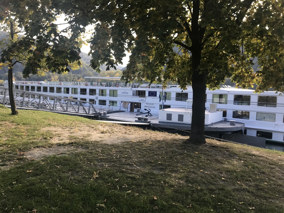 Bateau de croisière fluviale amarré près d'une rive bordée d'arbres.