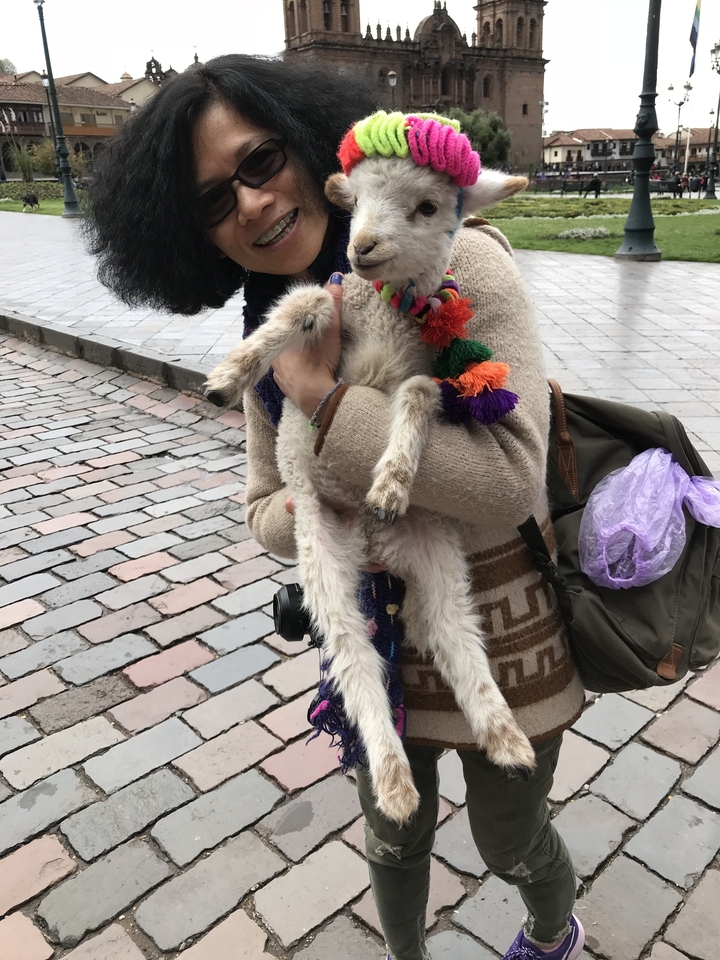 Persona sosteniendo un cordero envuelto en tela colorida en un área de adoquines.