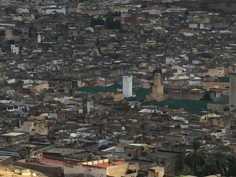 Aerial view of a densely packed city with a prominent mosque.