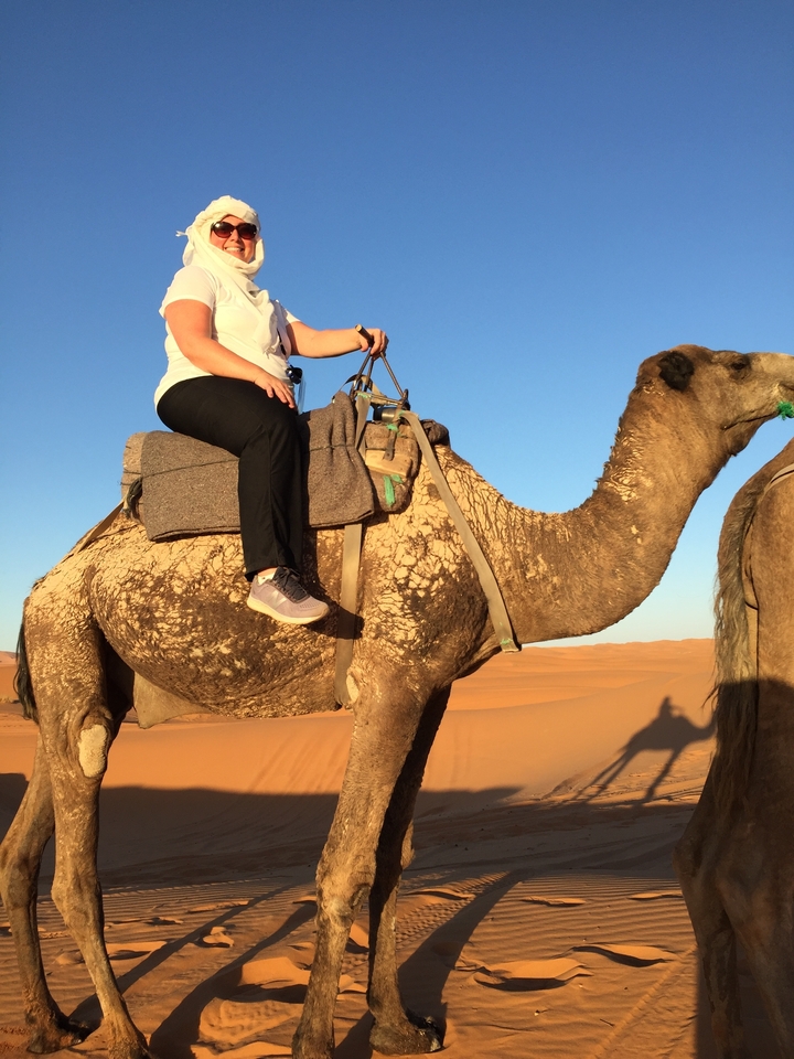 Person riding a camel in a desert landscape.