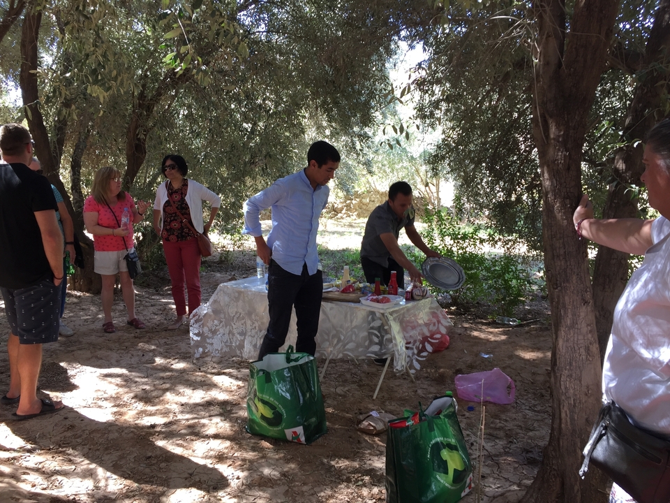 Outdoor gathering with people having a picnic under trees.