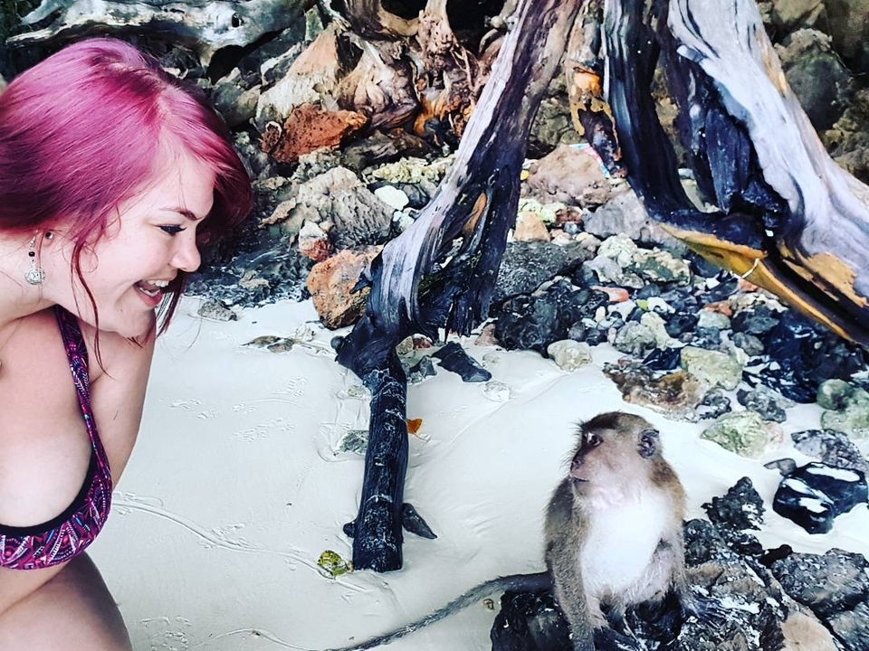 Person interacting with a monkey on a beach with rocks.