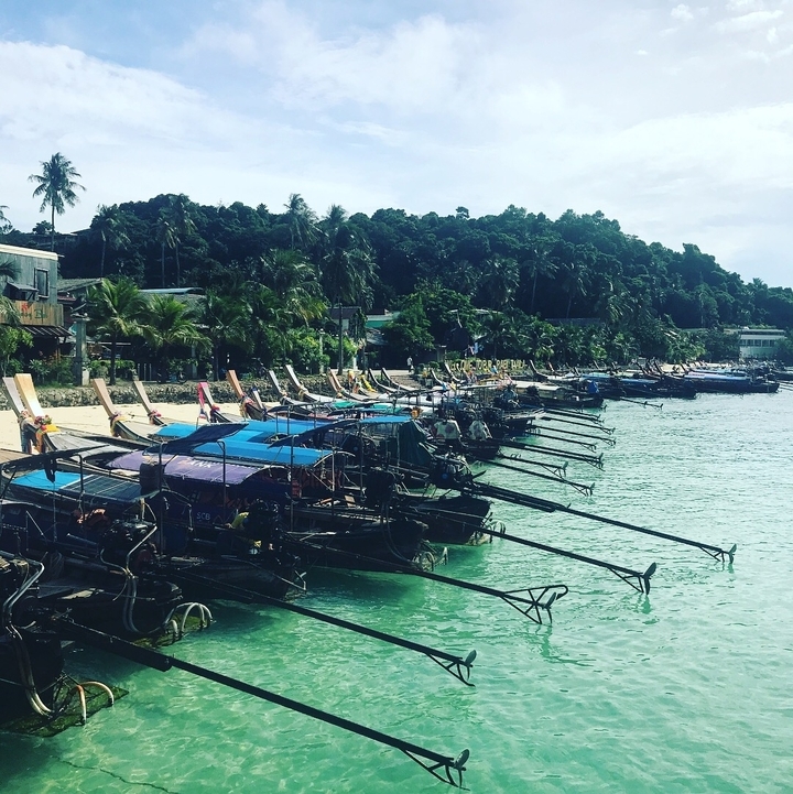 Row of traditional boats lined up along a tropical beach.