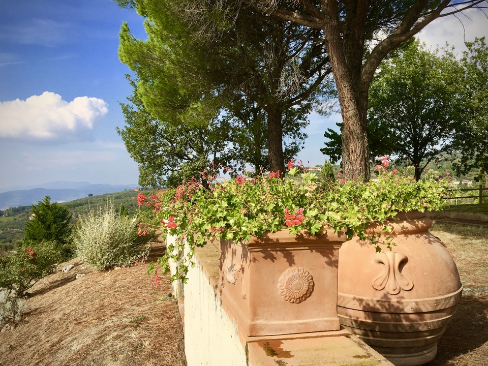 Un grand pot de fleurs avec des fleurs en fleurs donnant sur une vue panoramique.