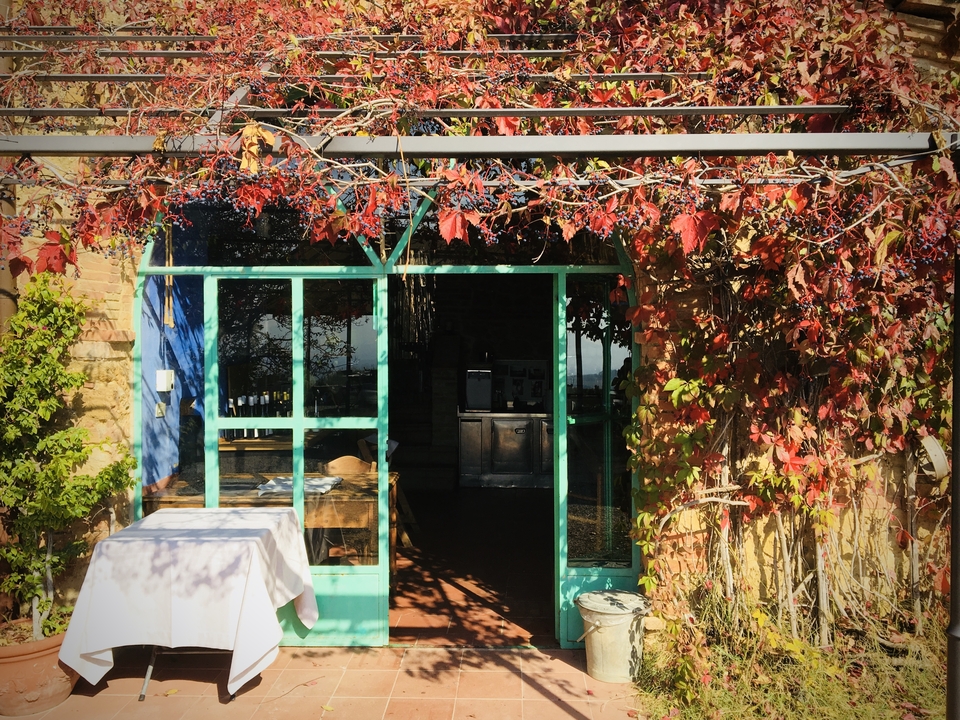 Entrée de bâtiment couverte de lierre.