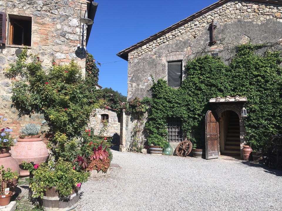 Bâtiments historiques en pierre couverts de lierre et de plantes.