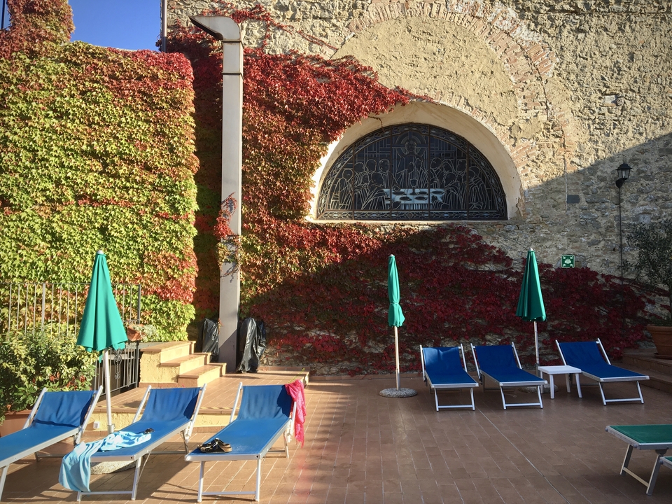 Cour extérieure avec chaises longues et murs couverts de lierre.