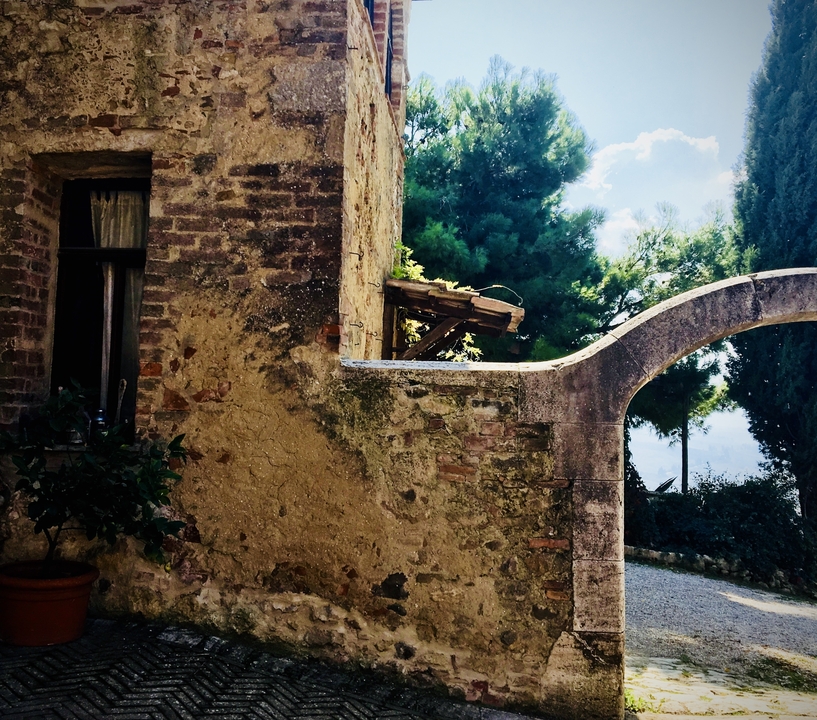 Bâtiment rustique avec des plantes et une vue panoramique à travers une arche.