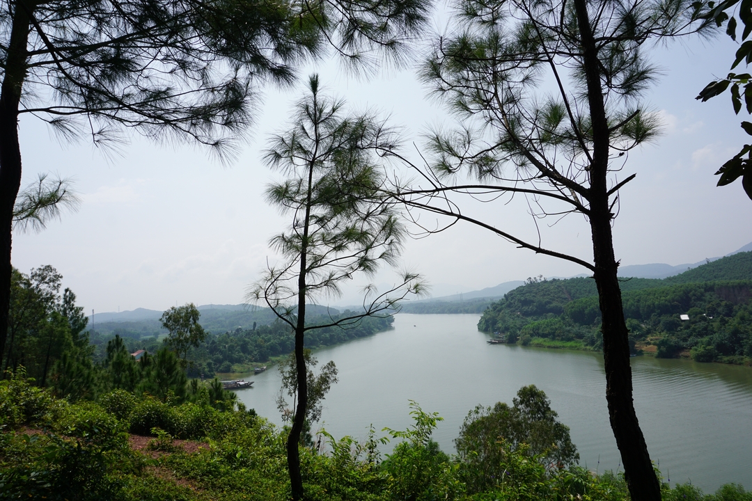 River surrounded by lush greenery and distant mountains.