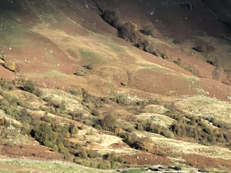 Gros plan d'une colline herbeuse.