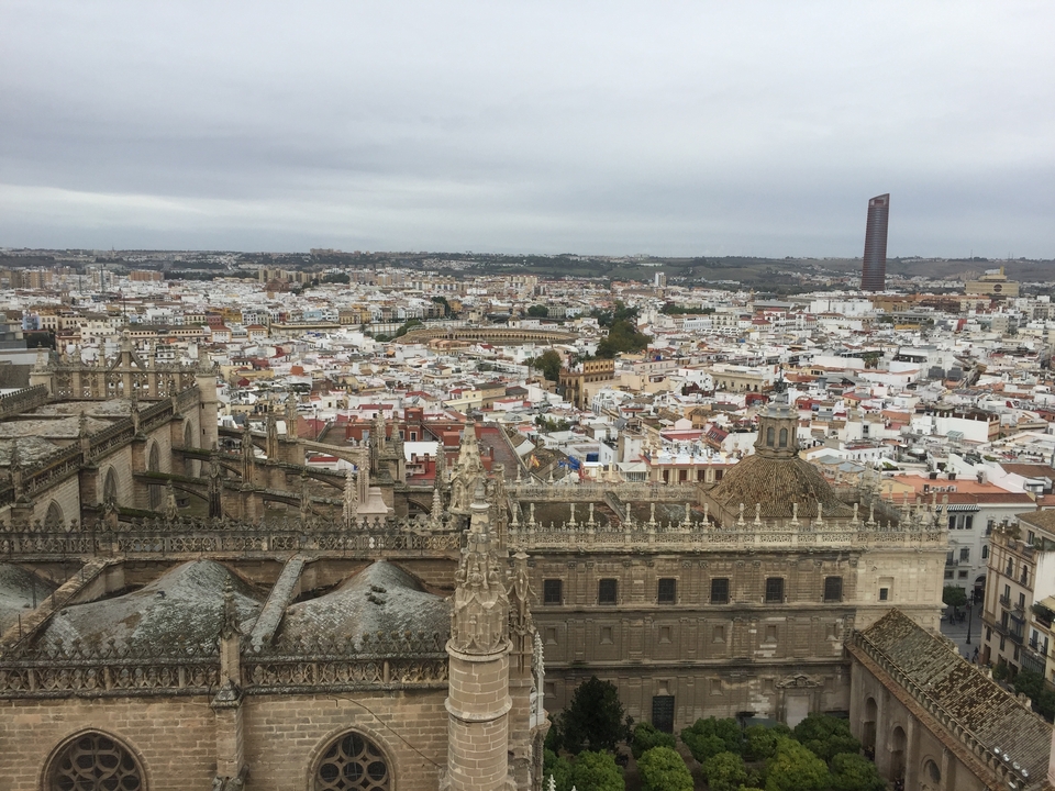 Panorama urbain avec toits historiques et bâtiments modernes.