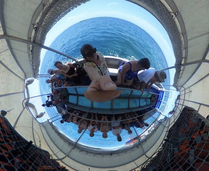 Des personnes assises sur un bateau à fond de verre regardant dans la mer.