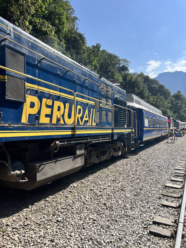 Train labeled Peru Rail on a track surrounded by woods.