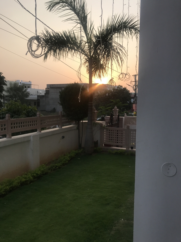 Sunset view from a garden overlooking surrounding buildings.