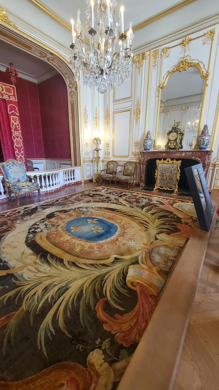 Chambre intérieure luxueuse avec tapis orné et cheminée.