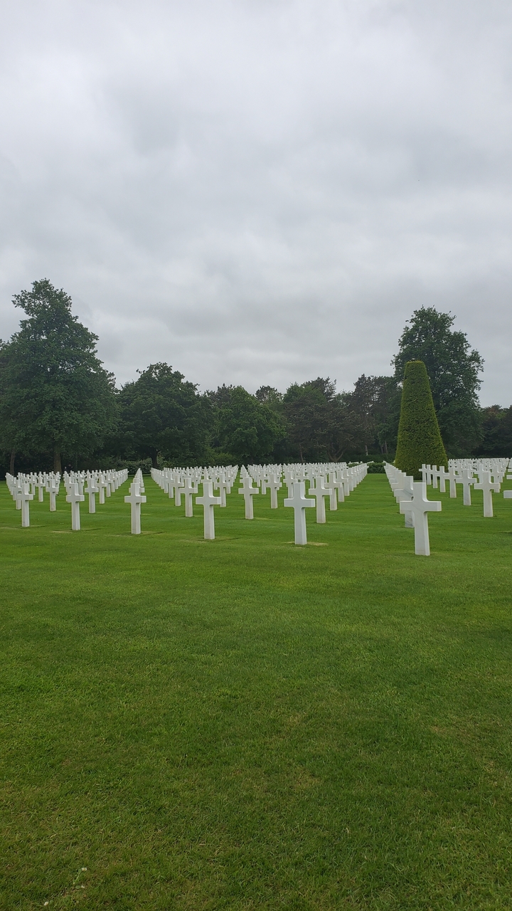 Des rangées de croix blanches dans un cimetière commémoratif.