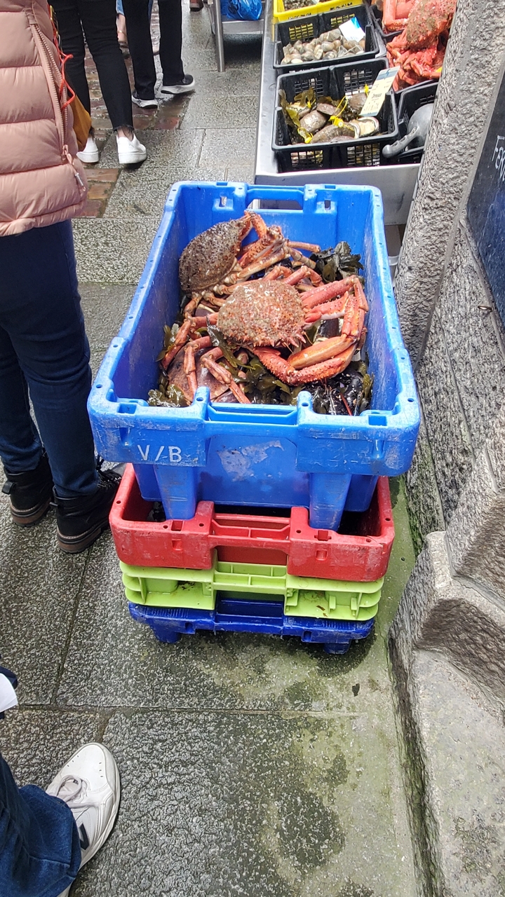 Caisses remplies de fruits de mer, y compris un gros crabe.