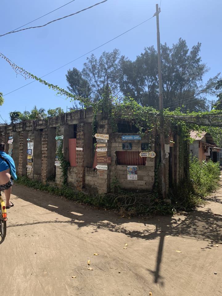 Building facade with various signs and vine plants growing.