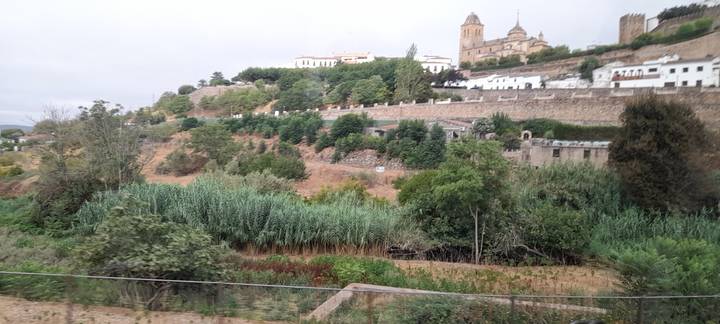 Vue à l'envers d'un paysage urbain avec de la verdure.